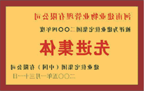 2004年，我公司荣获bat365在线平台官方网站颁发的"先进集体"奖。